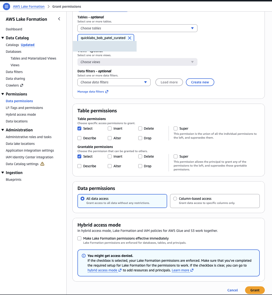 Grant database Describe permission